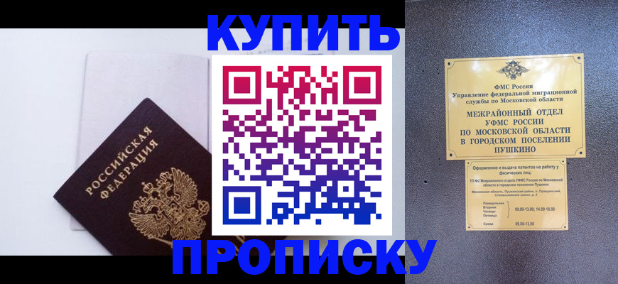 найти адрес прописки в Купино